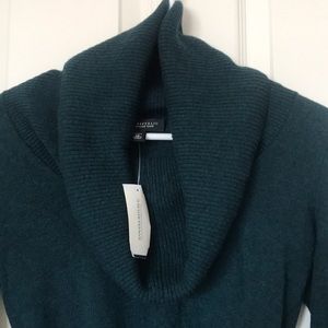 Banana Republic Green Turtle Neck Sweater